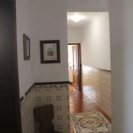 Casa Das Camelias Aveiro Exterior photo