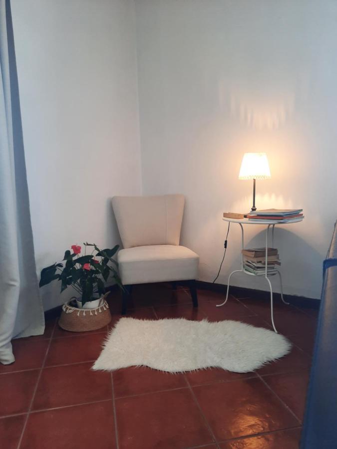 Casa Camelias * Aveiro