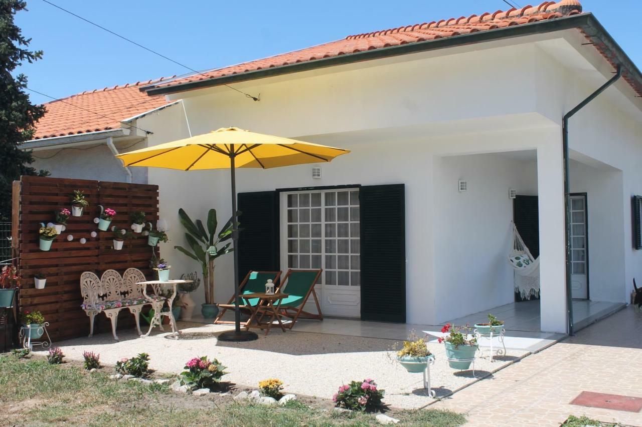 Casa Camelias *