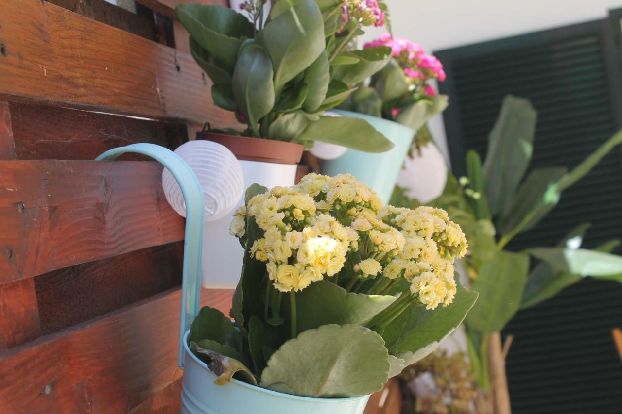 Casa Camelias Holiday home *